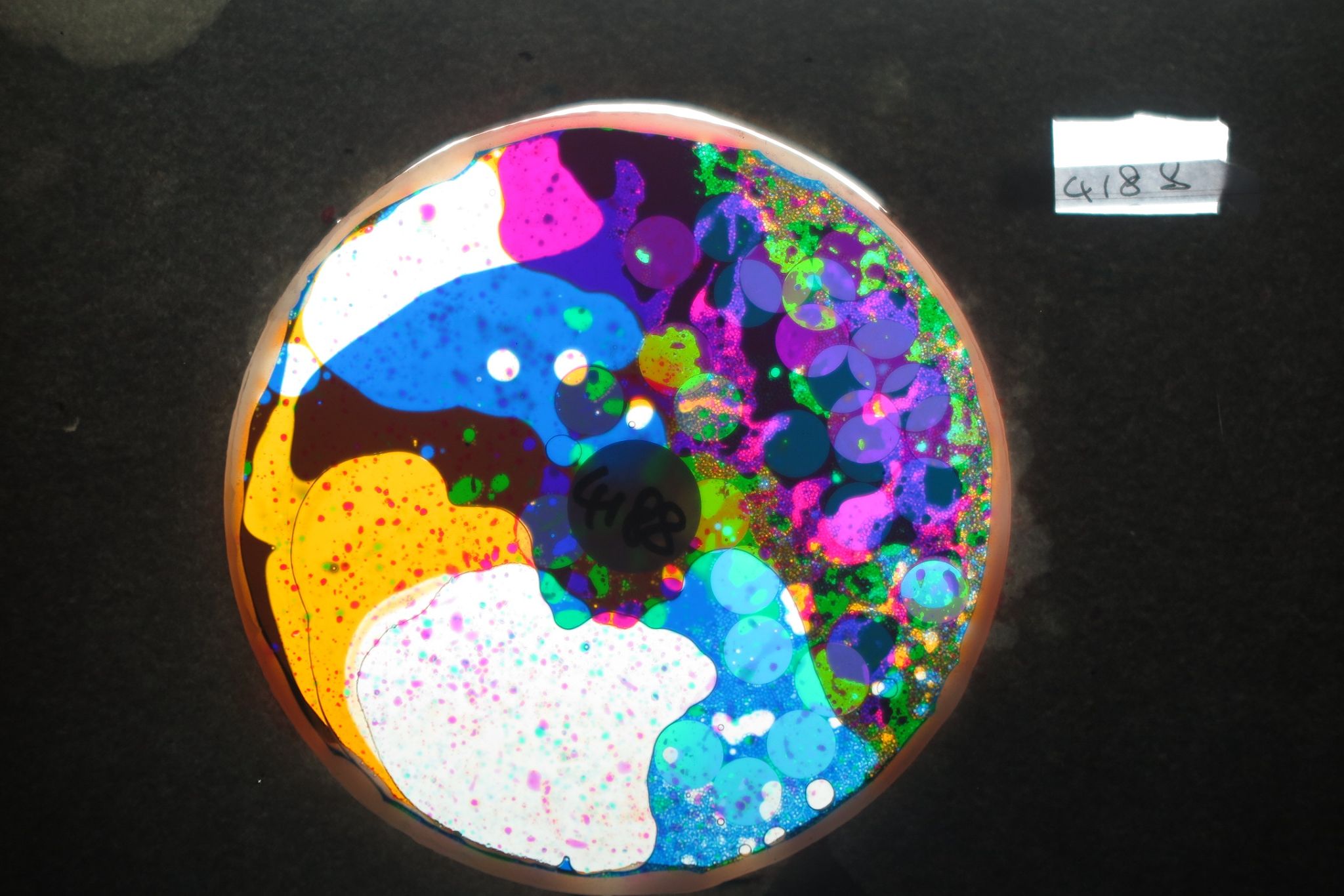 BV4188 bubble vision oil wheel